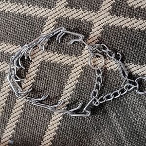 Prong collar with quick release